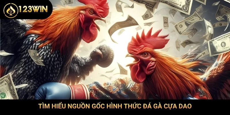 Tìm hiểu nguồn gốc hình thức đá gà cựa dao