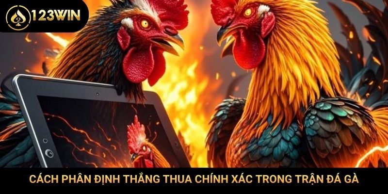 Cách phân định thắng thua chính xác trong trận đá gà